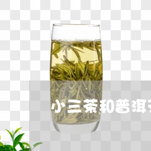 小三茶和普洱茶的区别/2023062326048