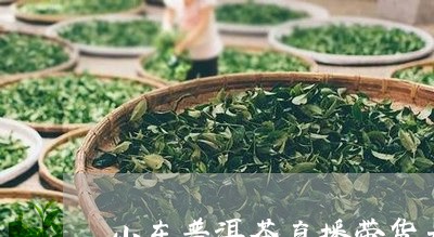 小东普洱茶直播带货是真的吗/2023121615827