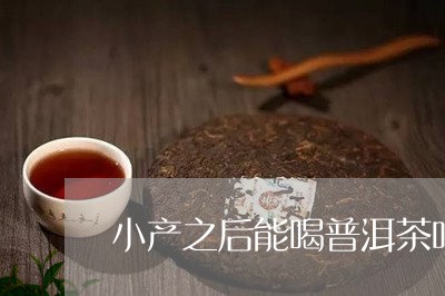 小产之后能喝普洱茶吗/2023062317161