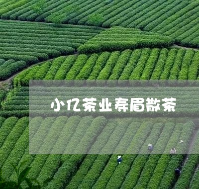 小亿茶业寿眉散茶/2023090805956