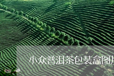 小众普洱茶包装盒图片/2023082703614