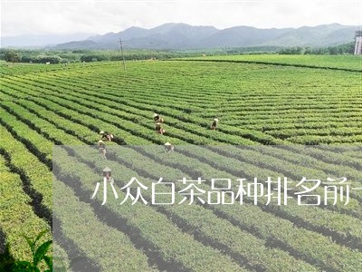 小众白茶品种排名前十/2023100114947