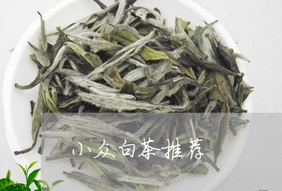 小众白茶推荐/2023062090535