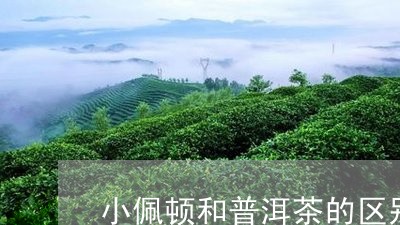 小佩顿和普洱茶的区别/2023082951816