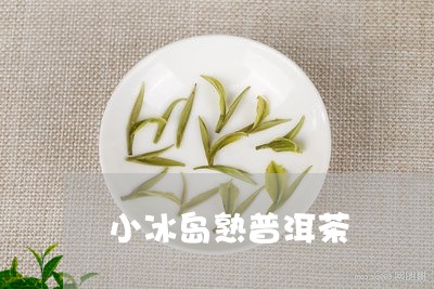 小冰岛熟普洱茶/2023082863837