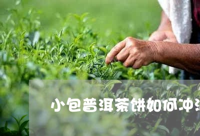 小包普洱茶饼如何冲泡/2023100617259