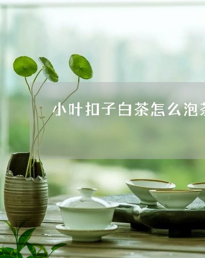 小叶扣子白茶怎么泡茶好/2023102588481