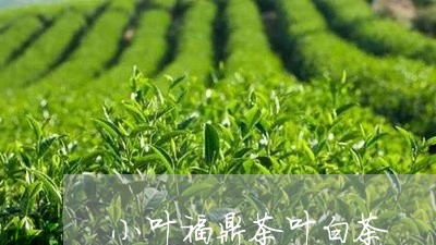 小叶福鼎茶叶白茶/2023062024937