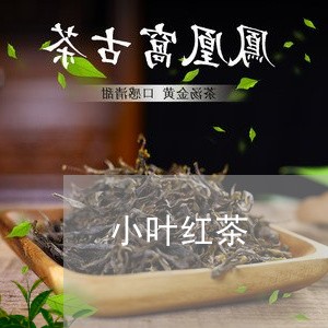 小叶红茶/2023090180583