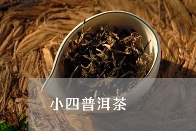 小四普洱茶/2023102529381