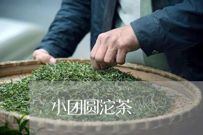 小团圆沱茶/2023090260595