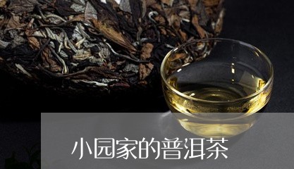 小园家的普洱茶/2023101693937