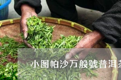 小图帕沙万般號普洱茶/2023092638292