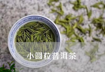 小圆粒普洱茶/2023042761375