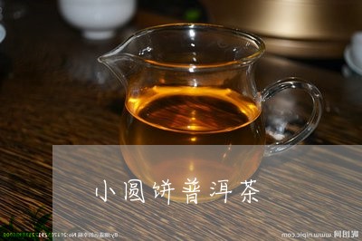 小圆饼普洱茶/2023042751098