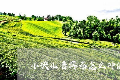 小块儿普洱茶怎么冲泡/2023062575637