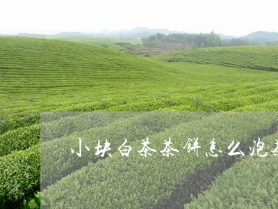 小块白茶茶饼怎么泡茶好喝/2023111584148