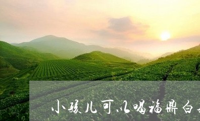 小孩儿可以喝福鼎白茶吗/2023092186941