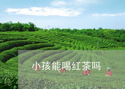 小孩能喝红茶吗/2023042999705