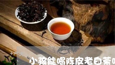 小孩能喝陈皮老白茶吗/2023100199492