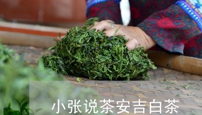 小张说茶安吉白茶/2023062025046