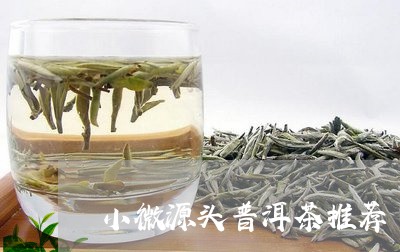 小微源头普洱茶推荐/2023120516957