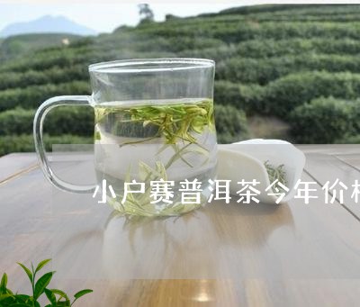 小户赛普洱茶今年价格/2023111097460