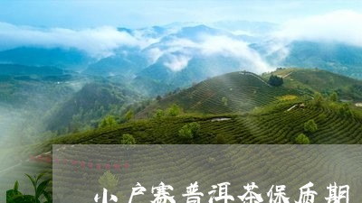 小户赛普洱茶保质期/2023120525150