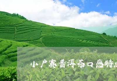 小户赛普洱茶口感特点/2023100675915