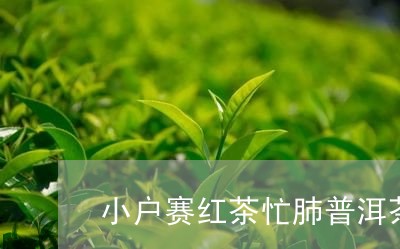 小户赛红茶忙肺普洱茶的特点/2023052788503