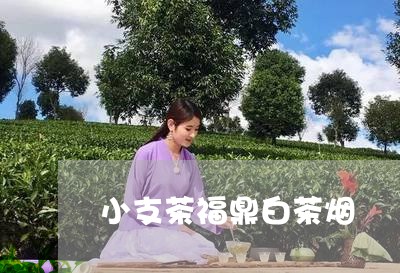 小支茶福鼎白茶烟/2023061973957