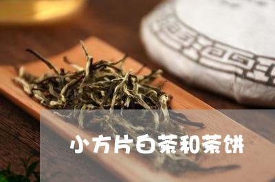 小方片白茶和茶饼/2023061942926