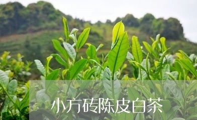 小方砖陈皮白茶/2023082687371