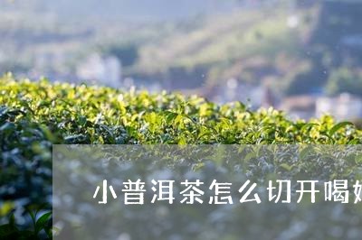 小普洱茶怎么切开喝好/2023121671605