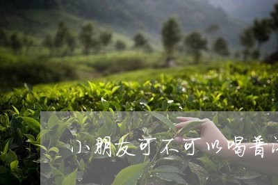 小朋友可不可以喝普洱茶熟茶/2023121635048