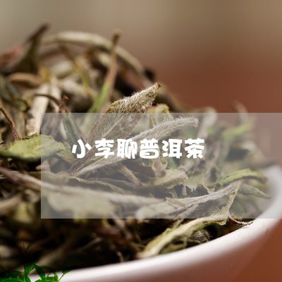 小李聊普洱茶/2023042662655