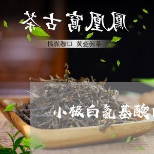 小极白氨基酸白茶成分/2023100168583