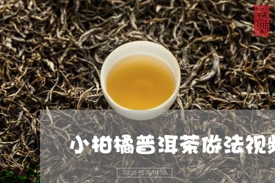 小柑橘普洱茶做法视频/2023062549506