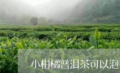 小柑橘普洱茶可以泡多久/2023103152713