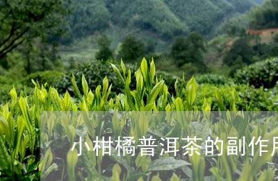 小柑橘普洱茶的副作用/2023062398385