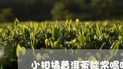 小柑橘普洱茶能常喝吗孕妇/2023121687169