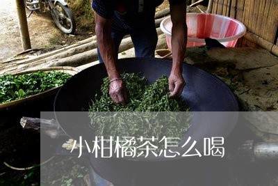 小柑橘茶怎么喝/2023042992185