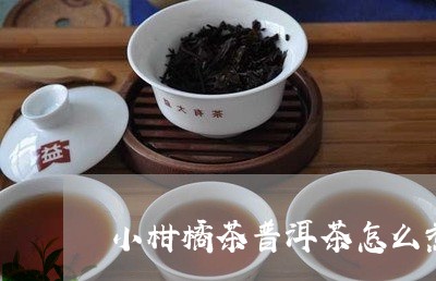 小柑橘茶普洱茶怎么煮好喝/2023082942592