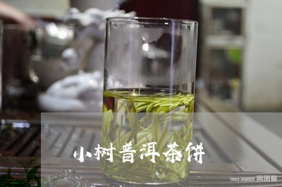 小树普洱茶饼/2023042702433