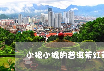 小根小根的普洱茶红茶/2023072115159