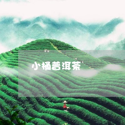 小桶普洱茶/2023090548350