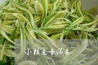 小橘皮普洱茶/2023042875565