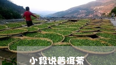 小段说普洱茶/2023042770437