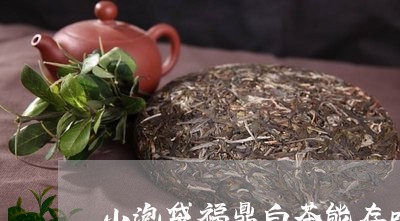 小泡袋福鼎白茶能存吗/2023120702914