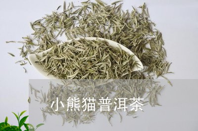 小熊猫普洱茶/2023042542263